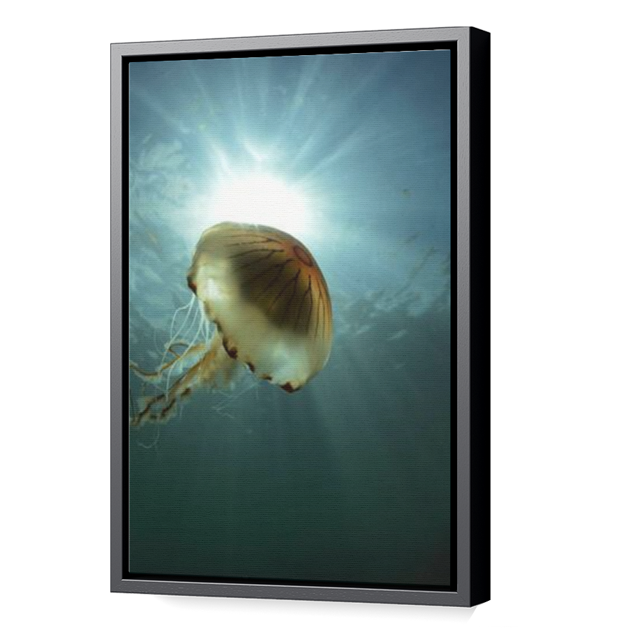 Thumbnail for Canvas - Black Floating Frame