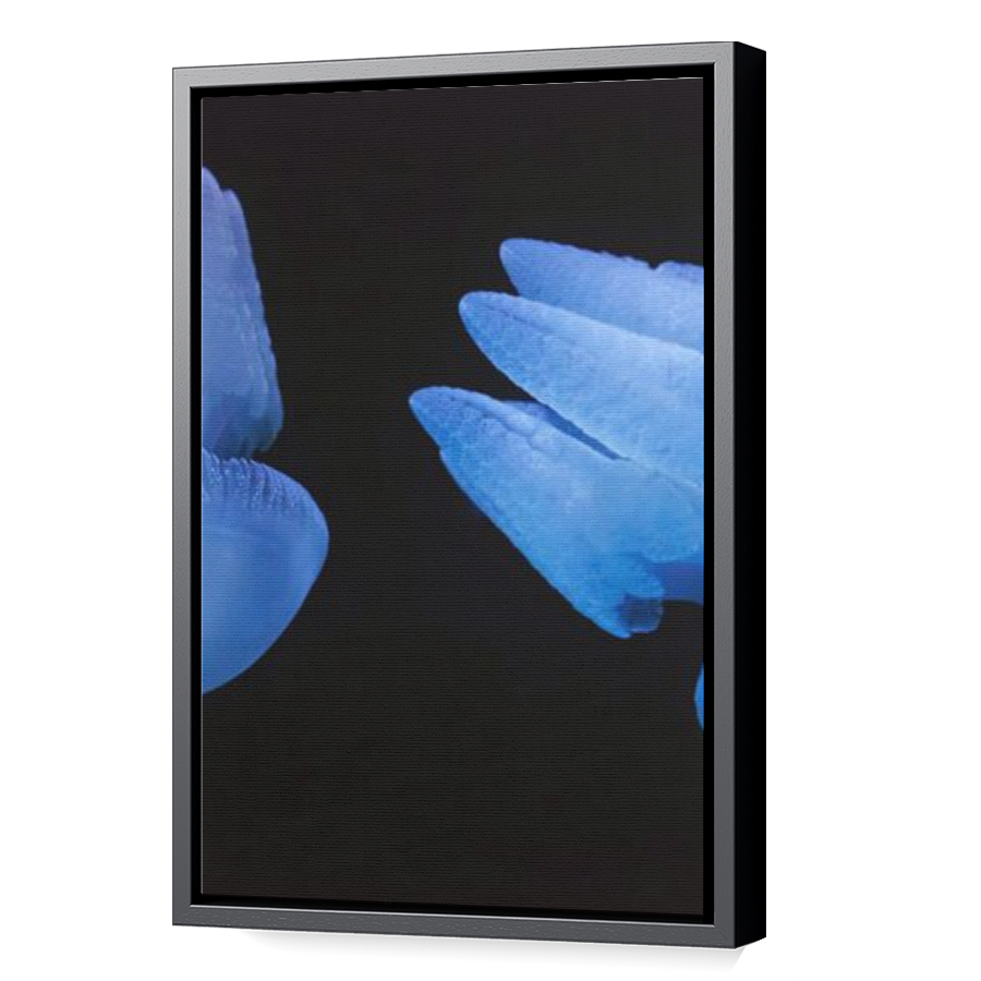 Thumbnail for Canvas - Black Floating Frame