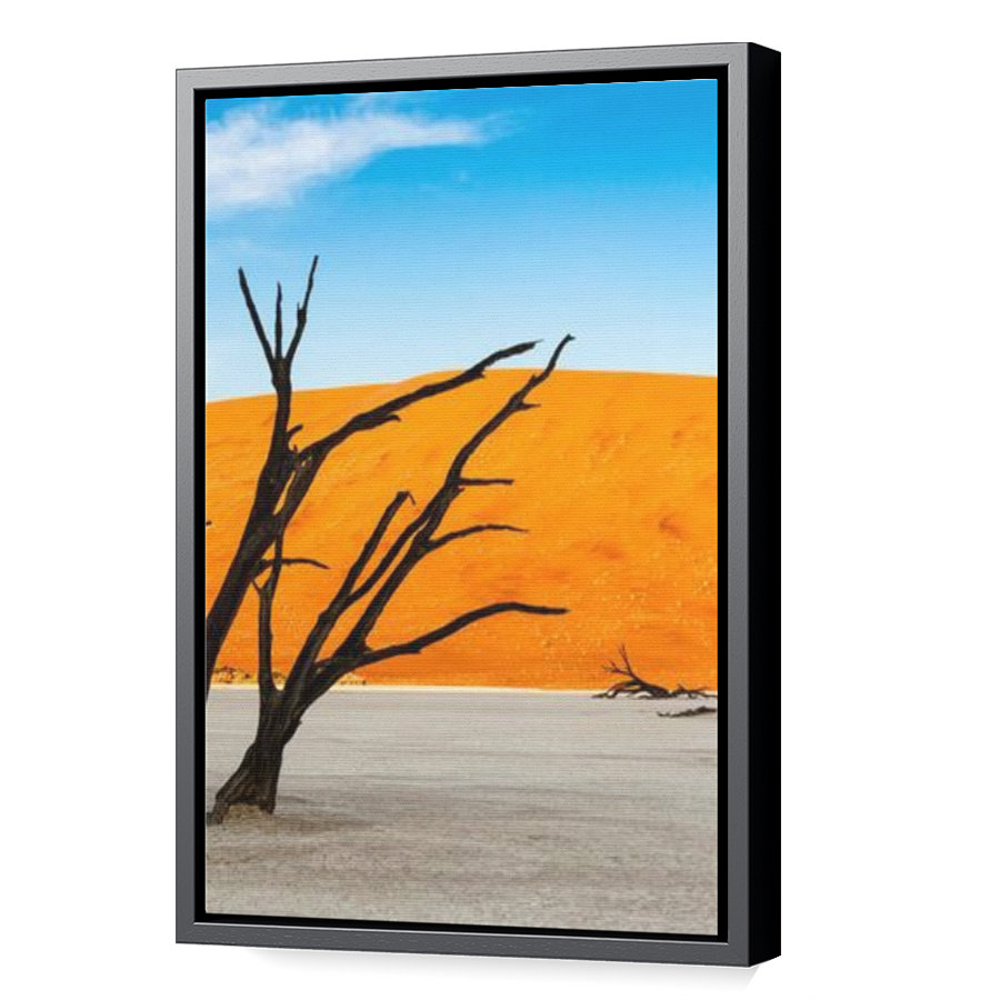 Thumbnail for Canvas - Black Floating Frame