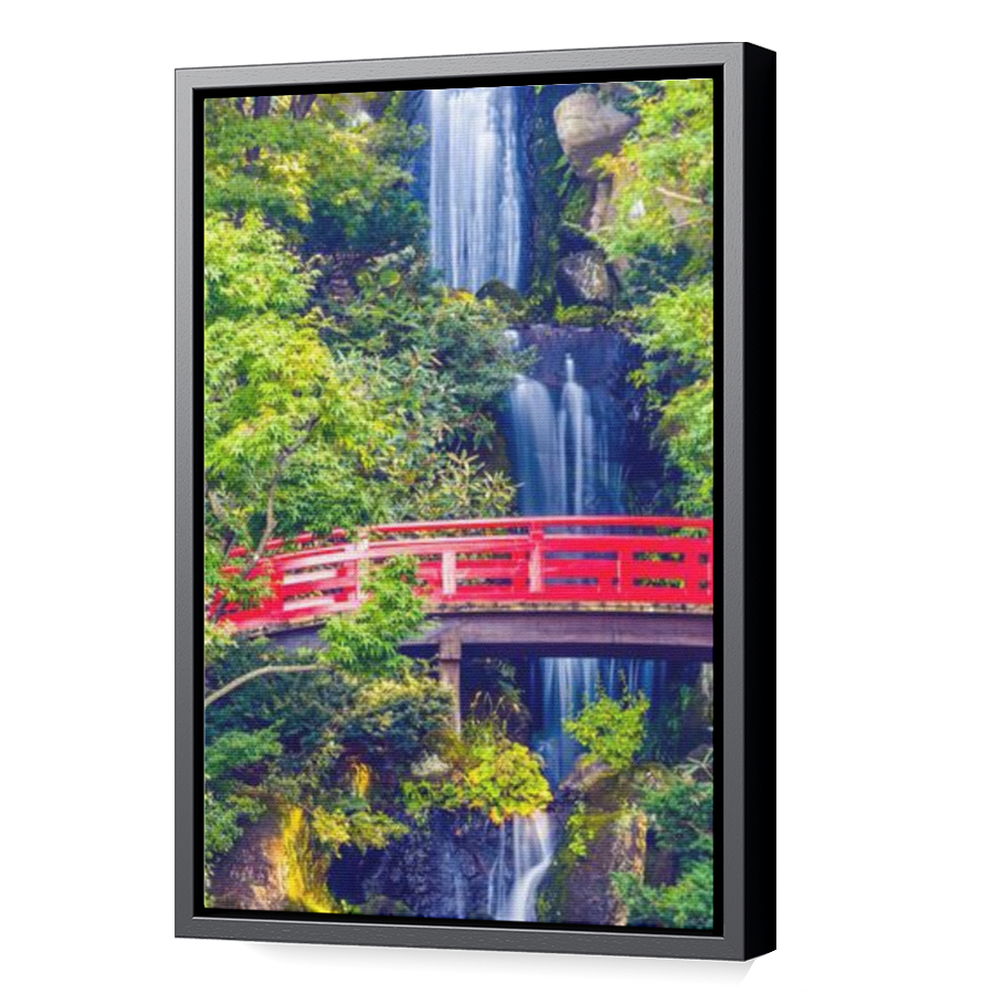 Thumbnail for Canvas - Black Floating Frame