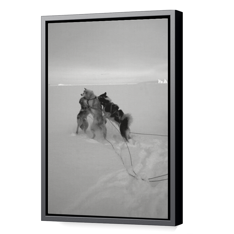 Thumbnail for Canvas - Black Floating Frame