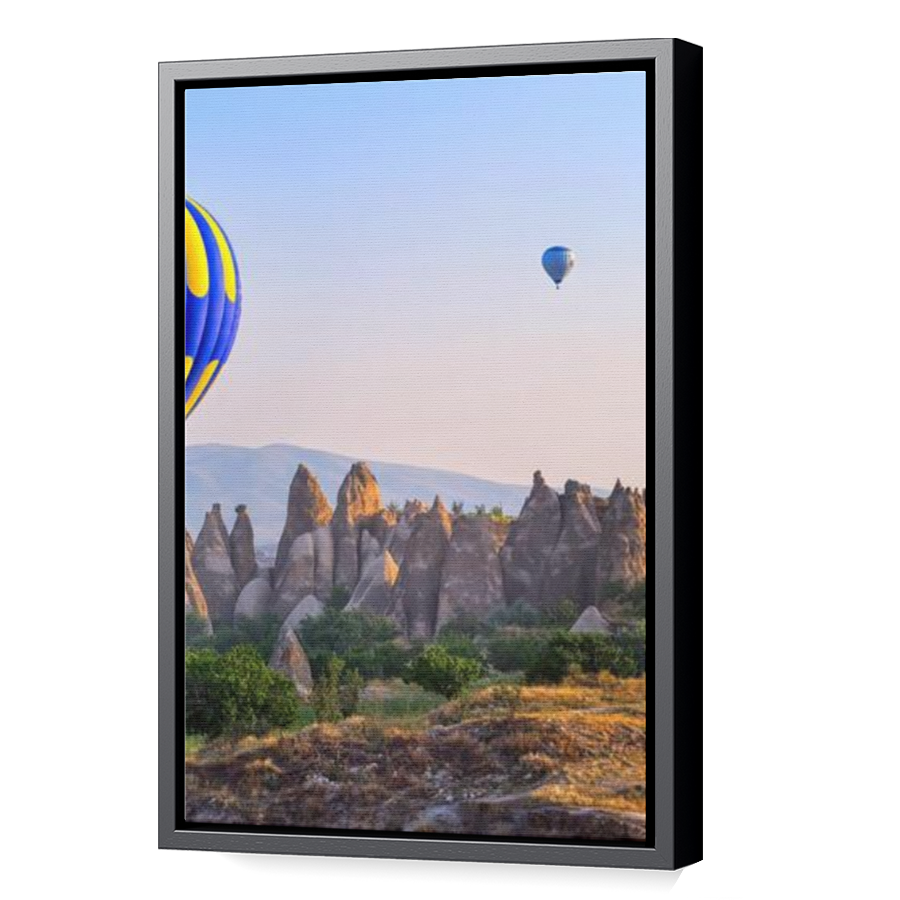 Thumbnail for Canvas - Black Floating Frame