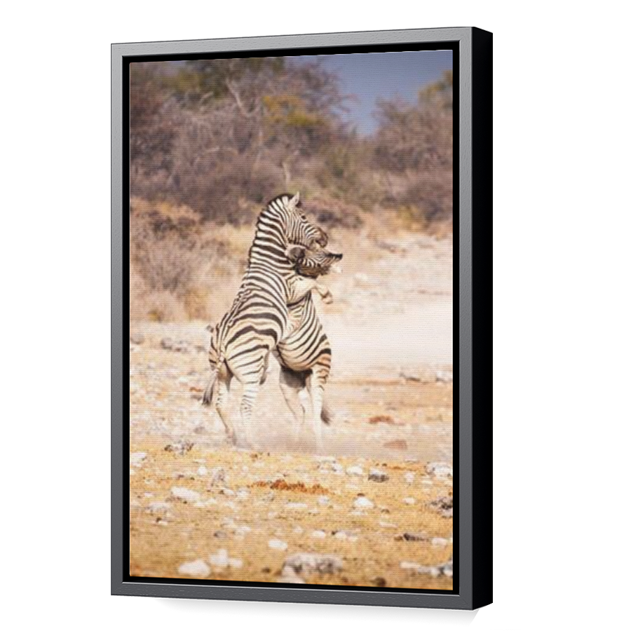Thumbnail for Canvas - Black Floating Frame