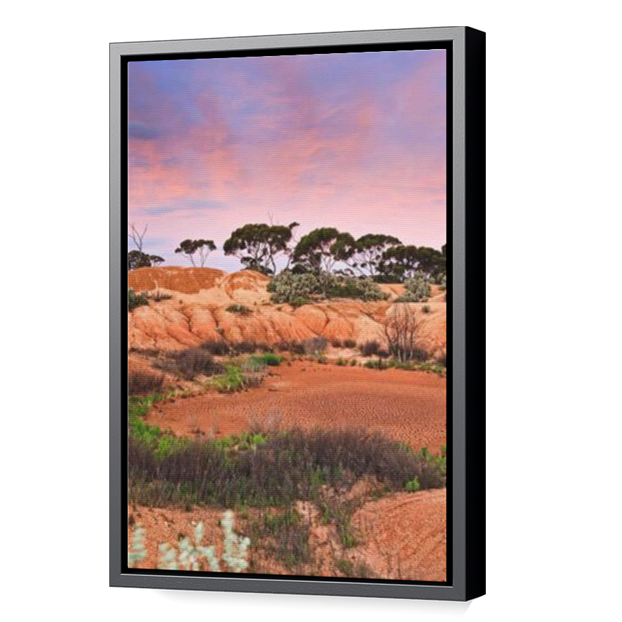 Thumbnail for Canvas - Black Floating Frame