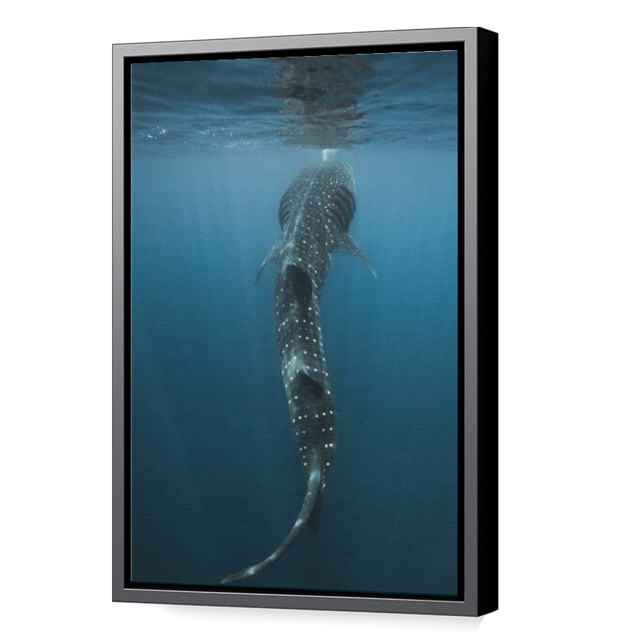 Thumbnail for Canvas - Black Floating Frame