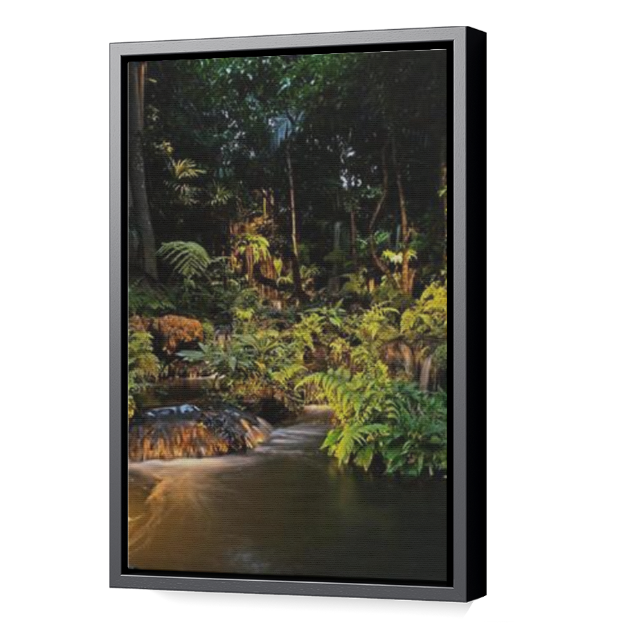 Thumbnail for Canvas - Black Floating Frame