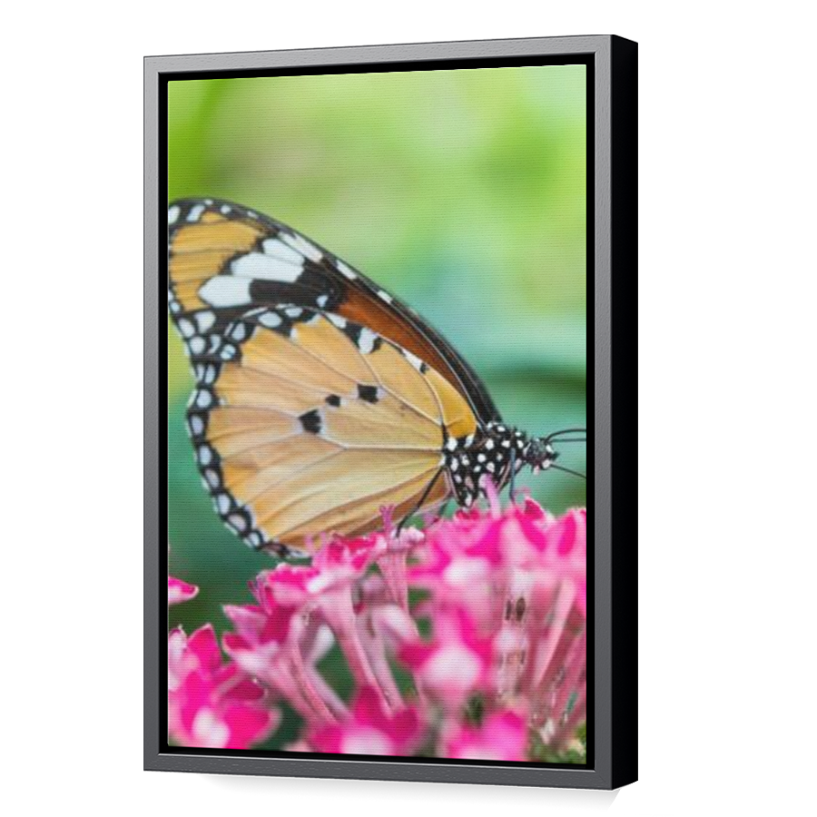 Thumbnail for Canvas - Black Floating Frame