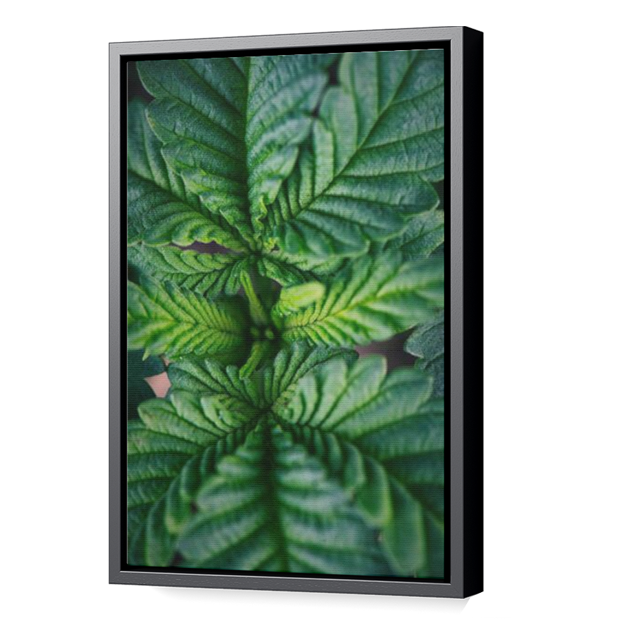 Thumbnail for Canvas - Black Floating Frame