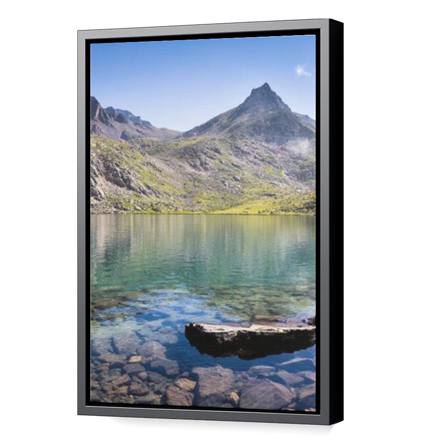 Thumbnail for Canvas - Black Floating Frame