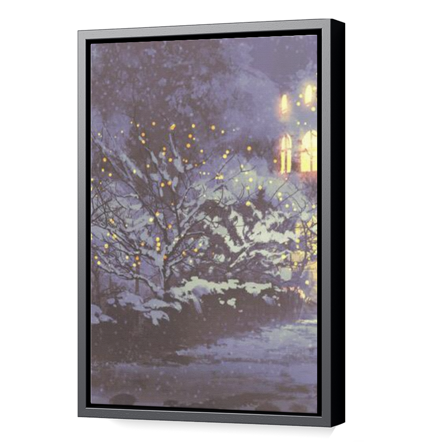 Thumbnail for Canvas - Black Floating Frame