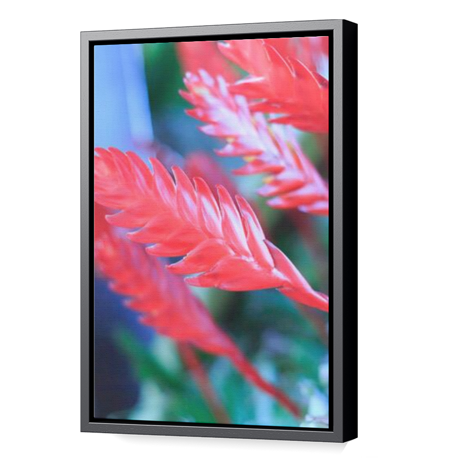 Thumbnail for Canvas - Black Floating Frame