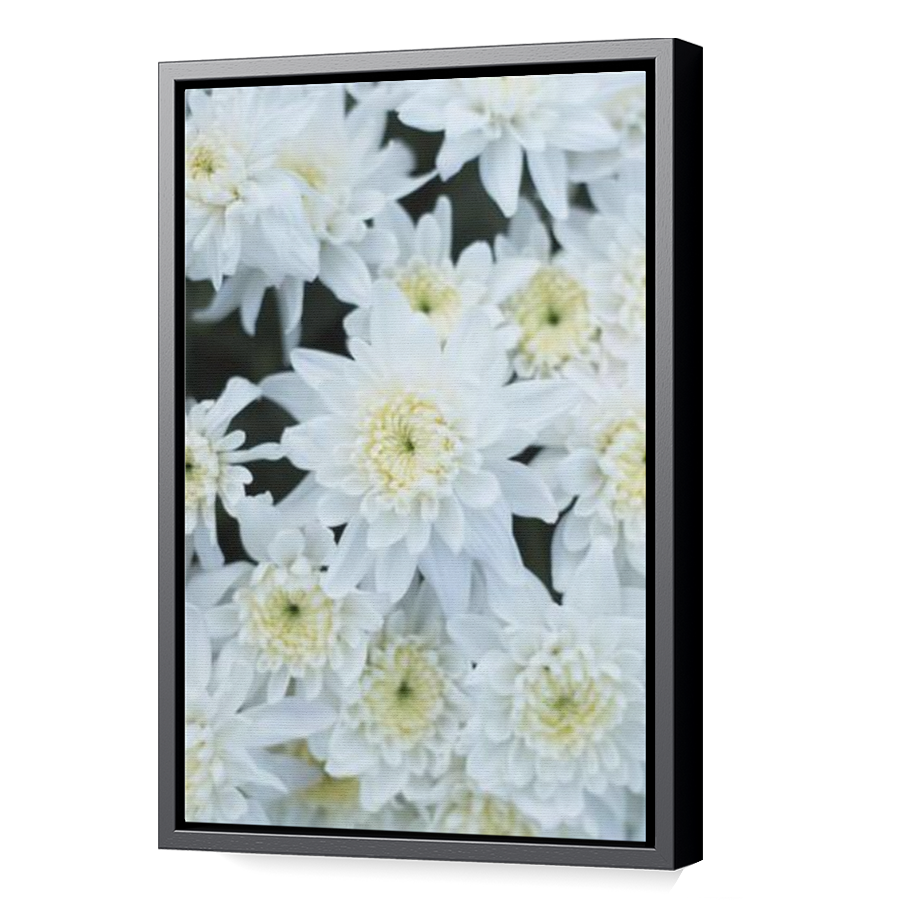 Thumbnail for Canvas - Black Floating Frame