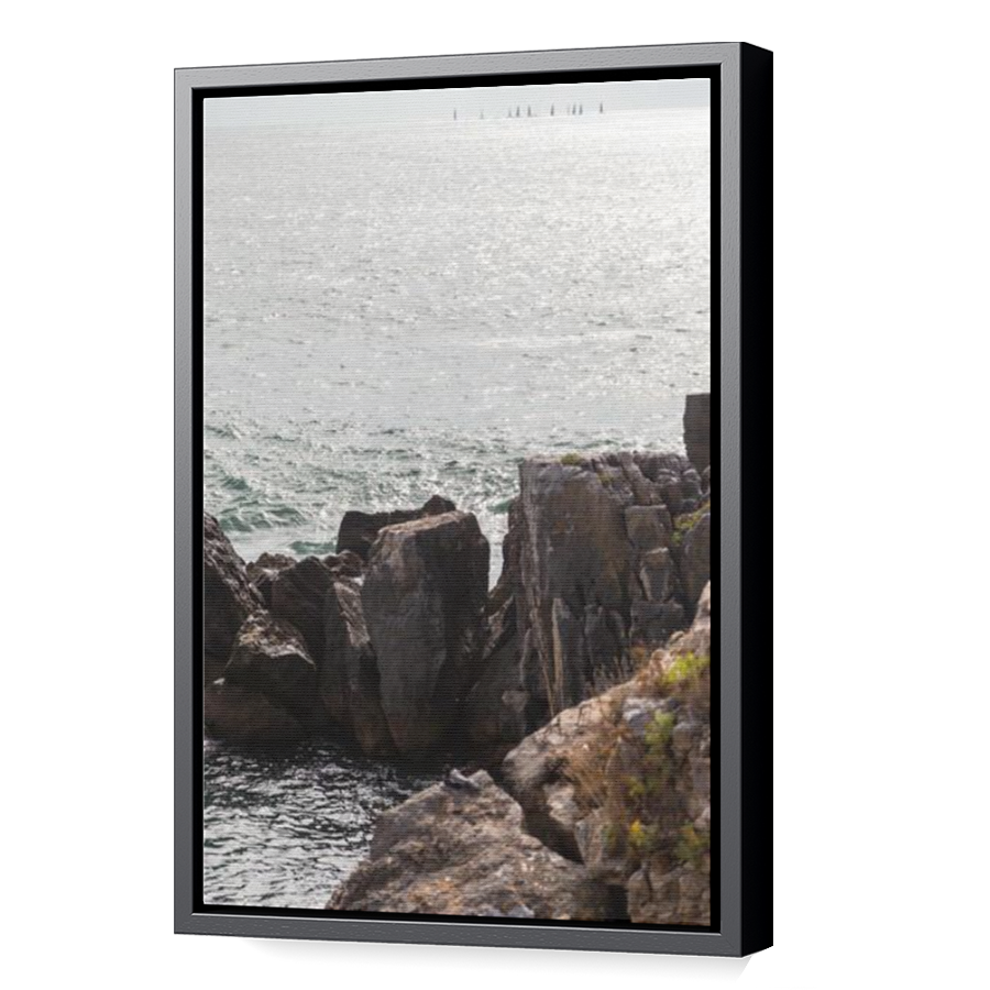 Thumbnail for Canvas - Black Floating Frame