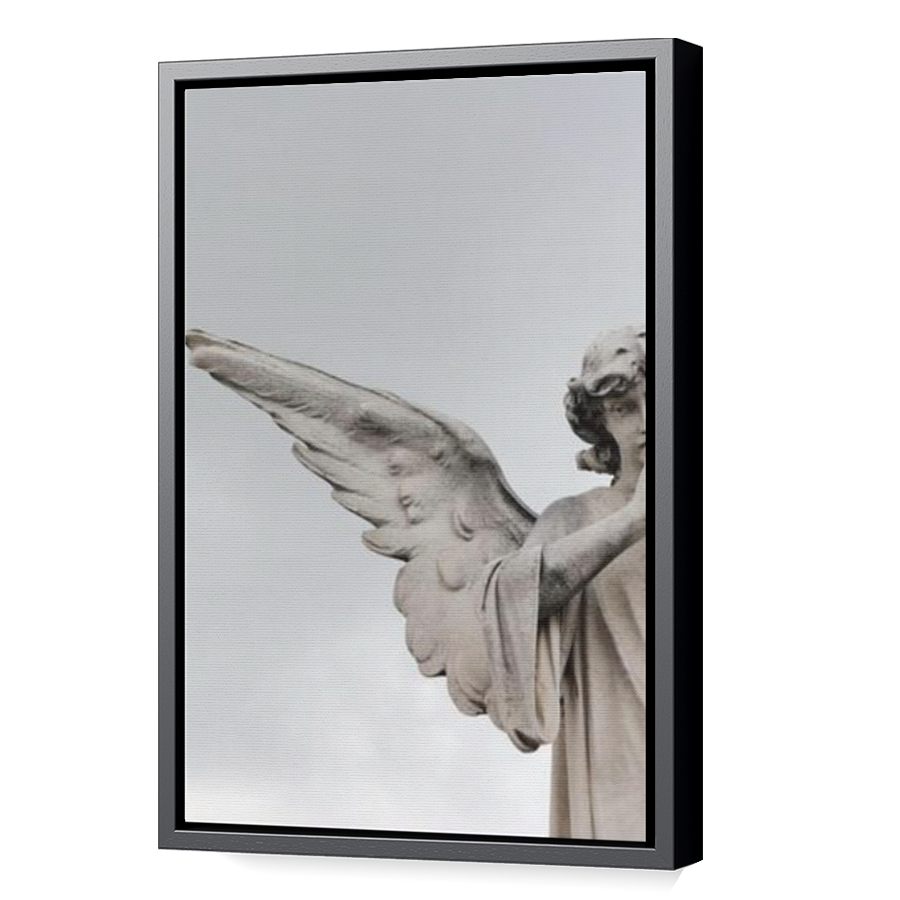 Thumbnail for Canvas - Black Floating Frame