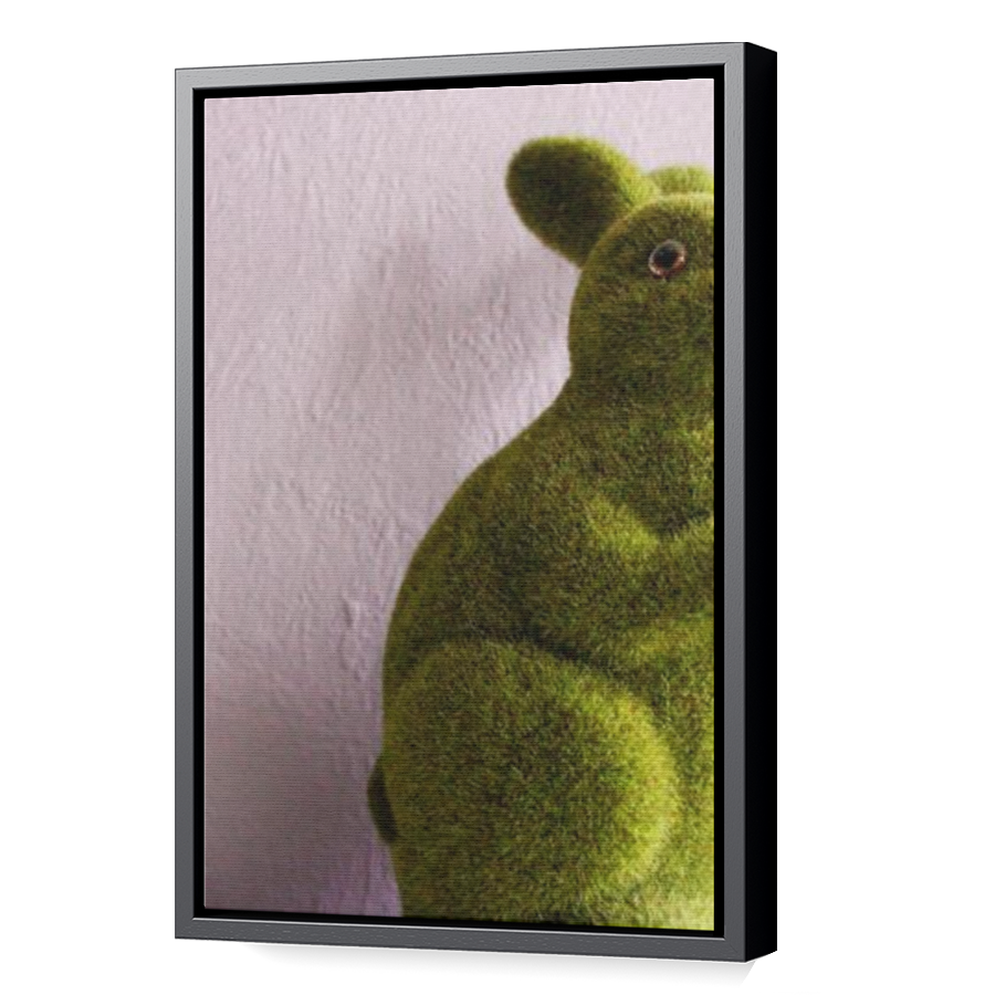 Thumbnail for Canvas - Black Floating Frame