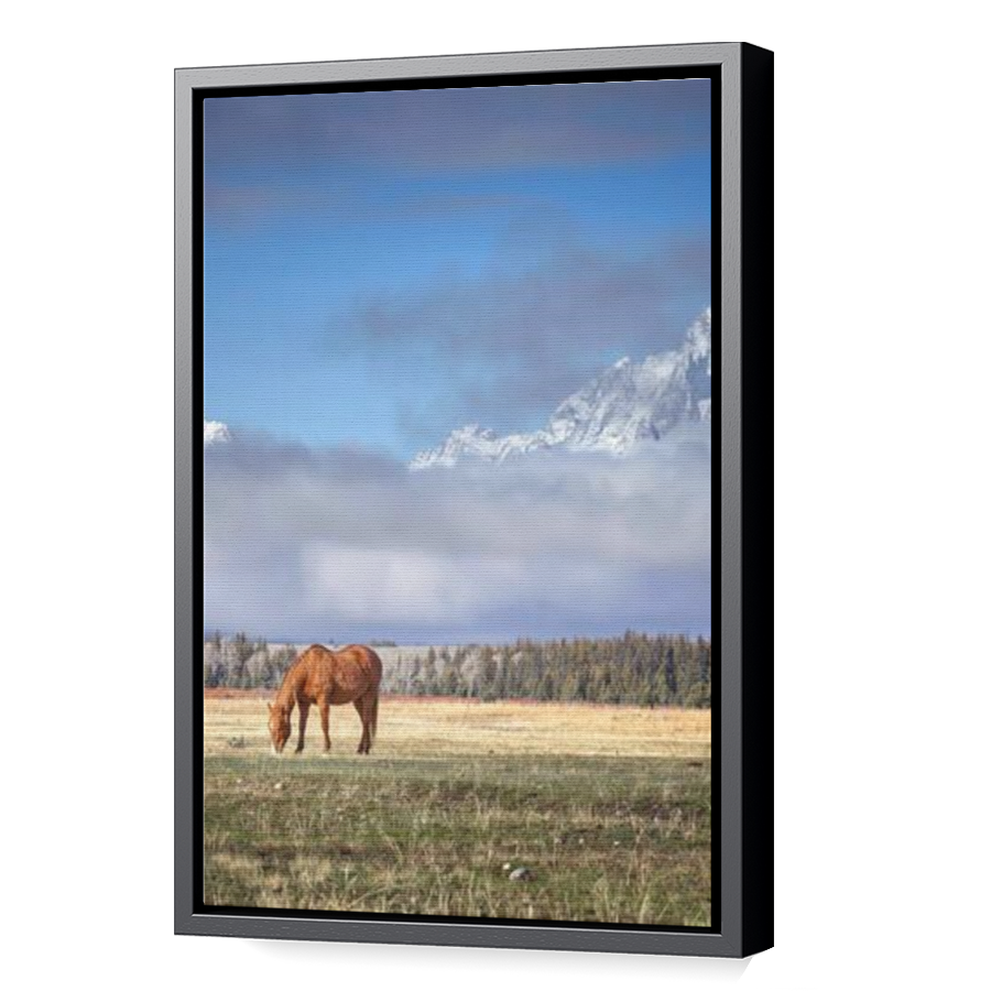 Thumbnail for Canvas - Black Floating Frame