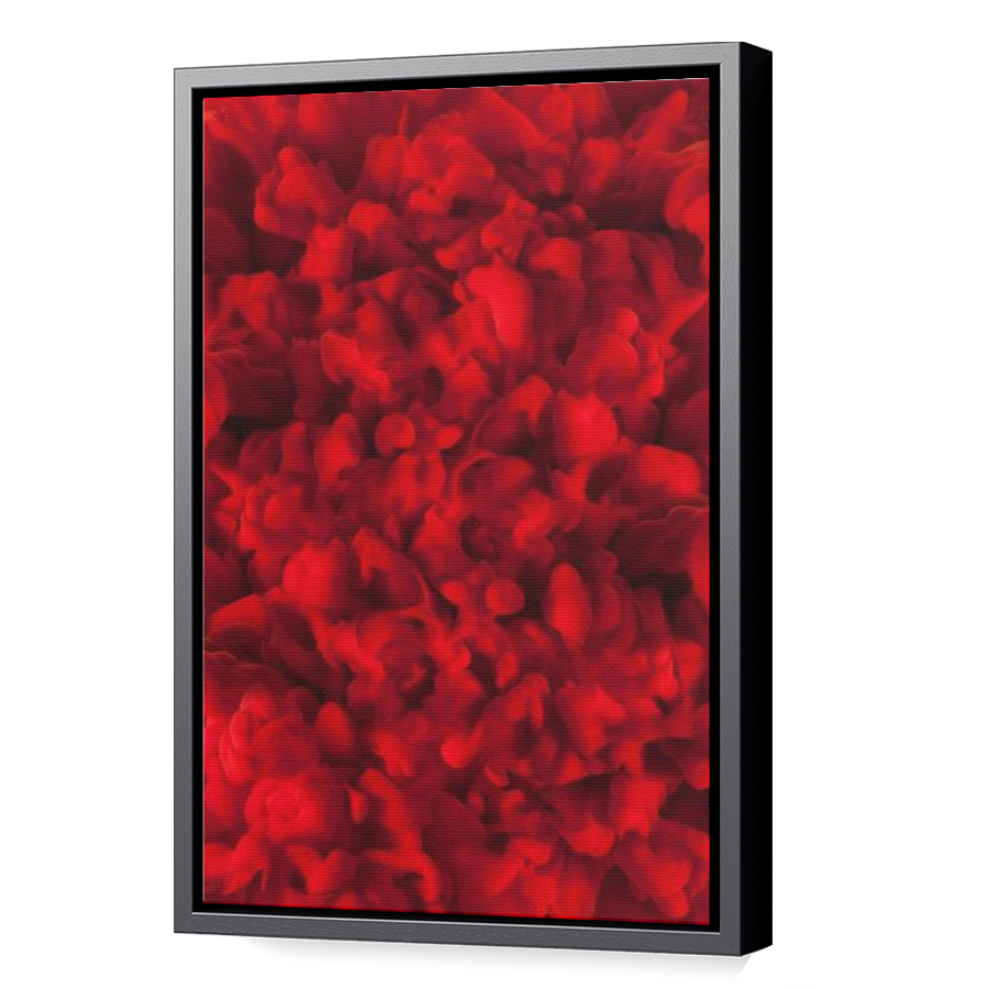 Thumbnail for Canvas - Black Floating Frame
