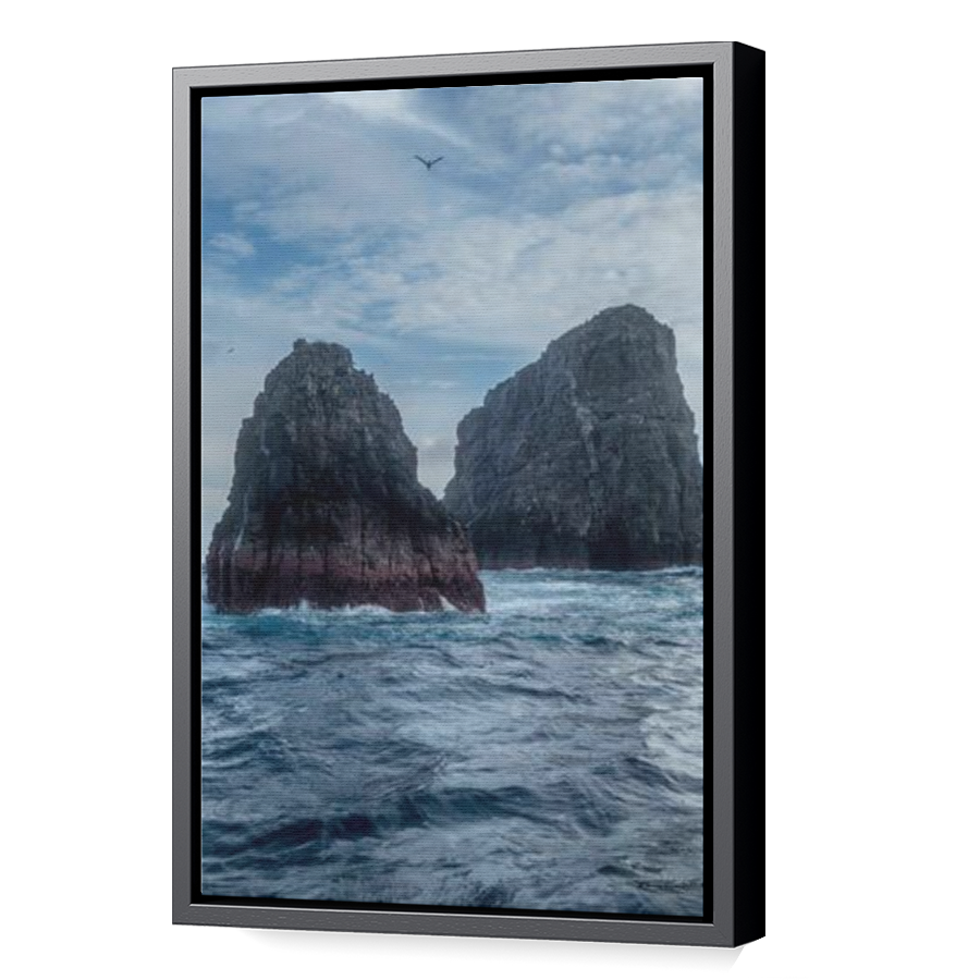 Thumbnail for Canvas - Black Floating Frame
