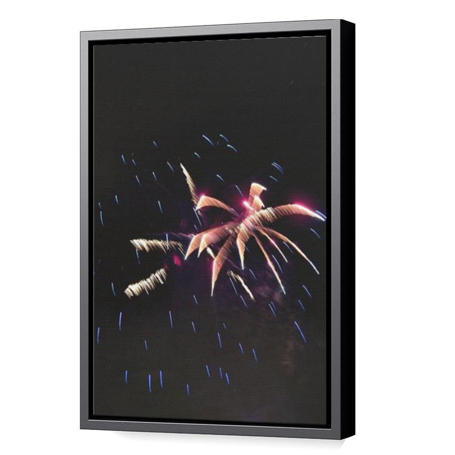 Thumbnail for Canvas - Black Floating Frame