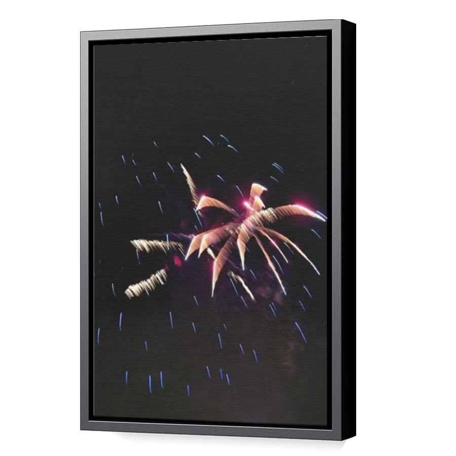 Thumbnail for Canvas - Black Floating Frame