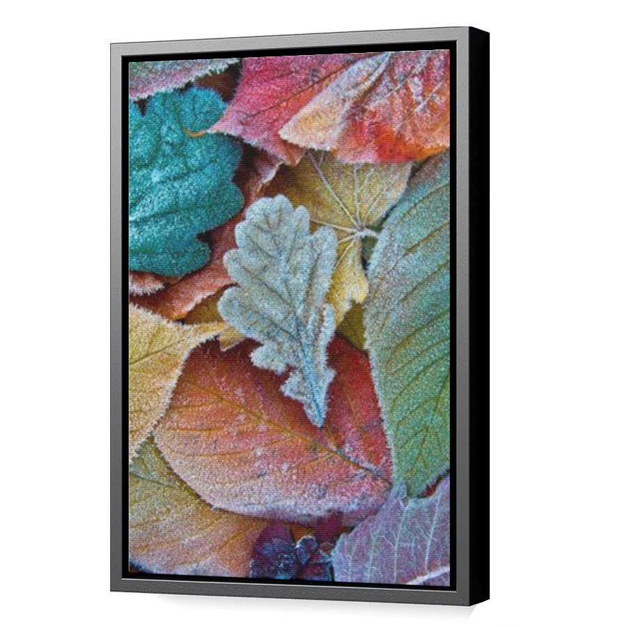Thumbnail for Canvas - Black Floating Frame
