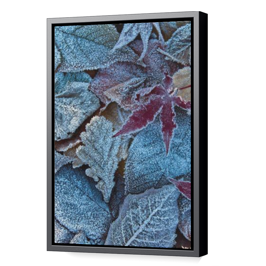 Thumbnail for Canvas - Black Floating Frame