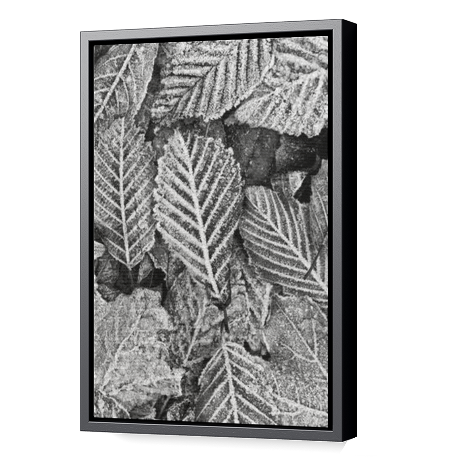 Thumbnail for Canvas - Black Floating Frame