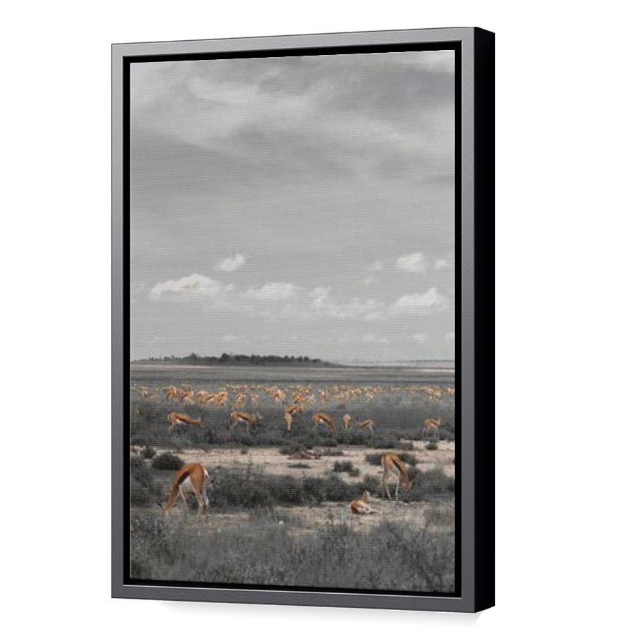 Thumbnail for Canvas - Black Floating Frame