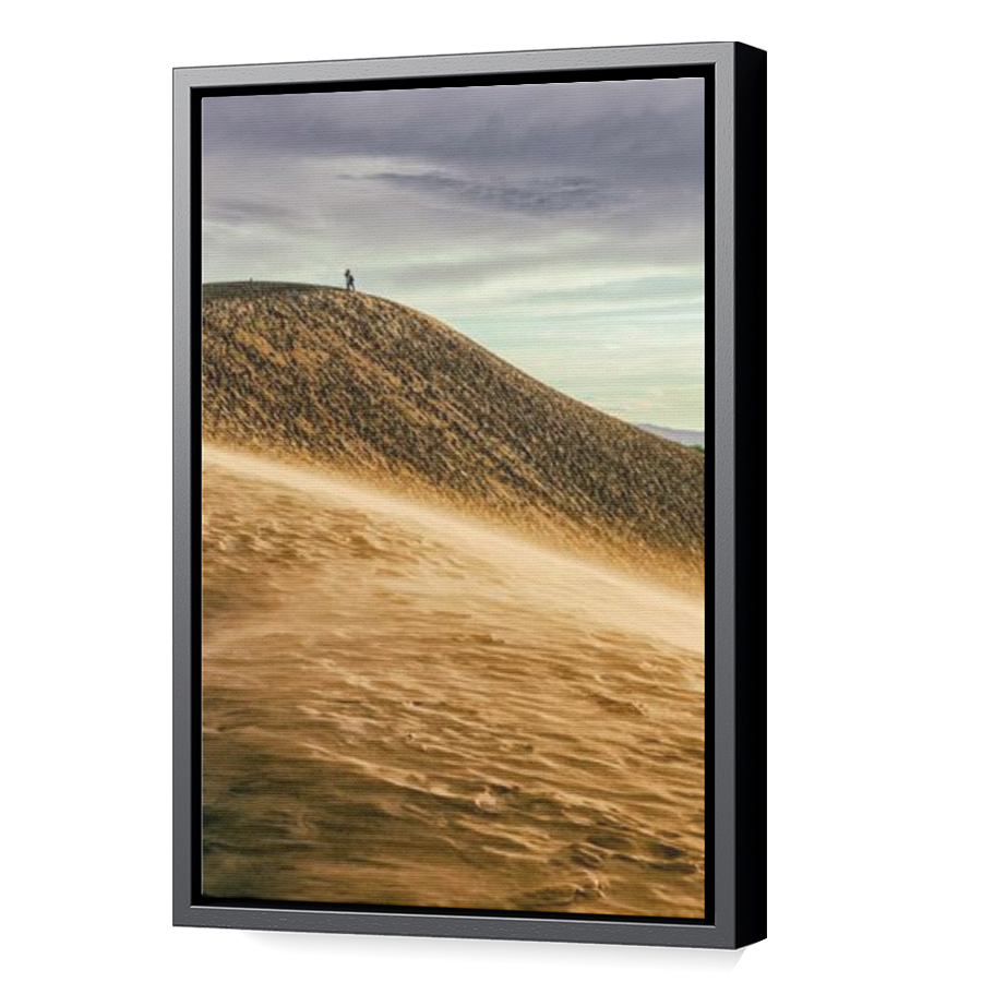 Thumbnail for Canvas - Black Floating Frame