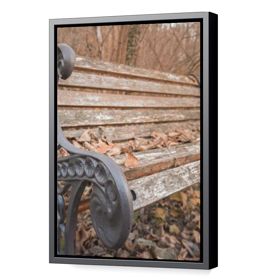 Thumbnail for Canvas - Black Floating Frame