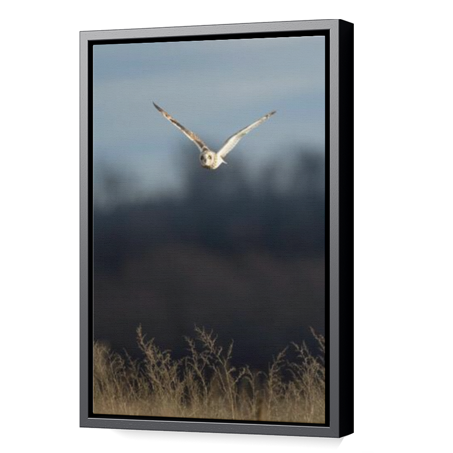 Thumbnail for Canvas - Black Floating Frame