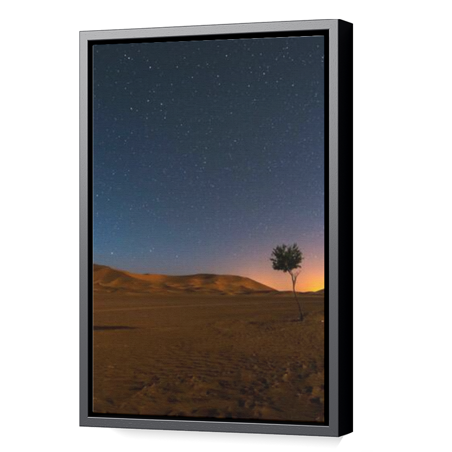 Thumbnail for Canvas - Black Floating Frame