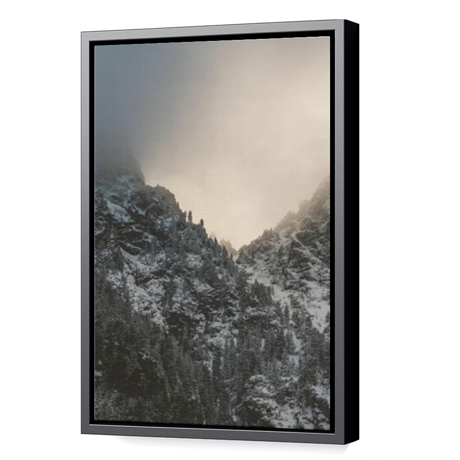 Thumbnail for Canvas - Black Floating Frame