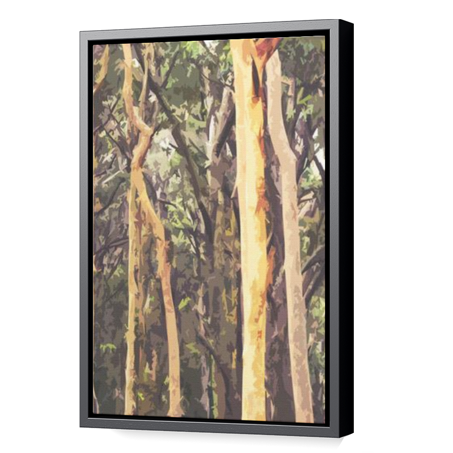 Thumbnail for Canvas - Black Floating Frame