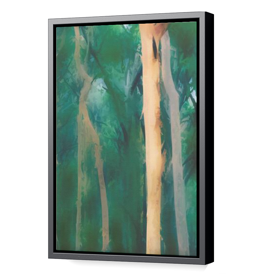 Thumbnail for Canvas - Black Floating Frame