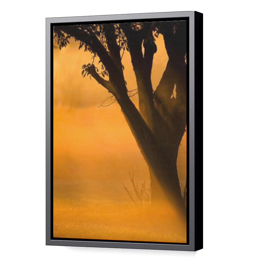 Thumbnail for Canvas - Black Floating Frame