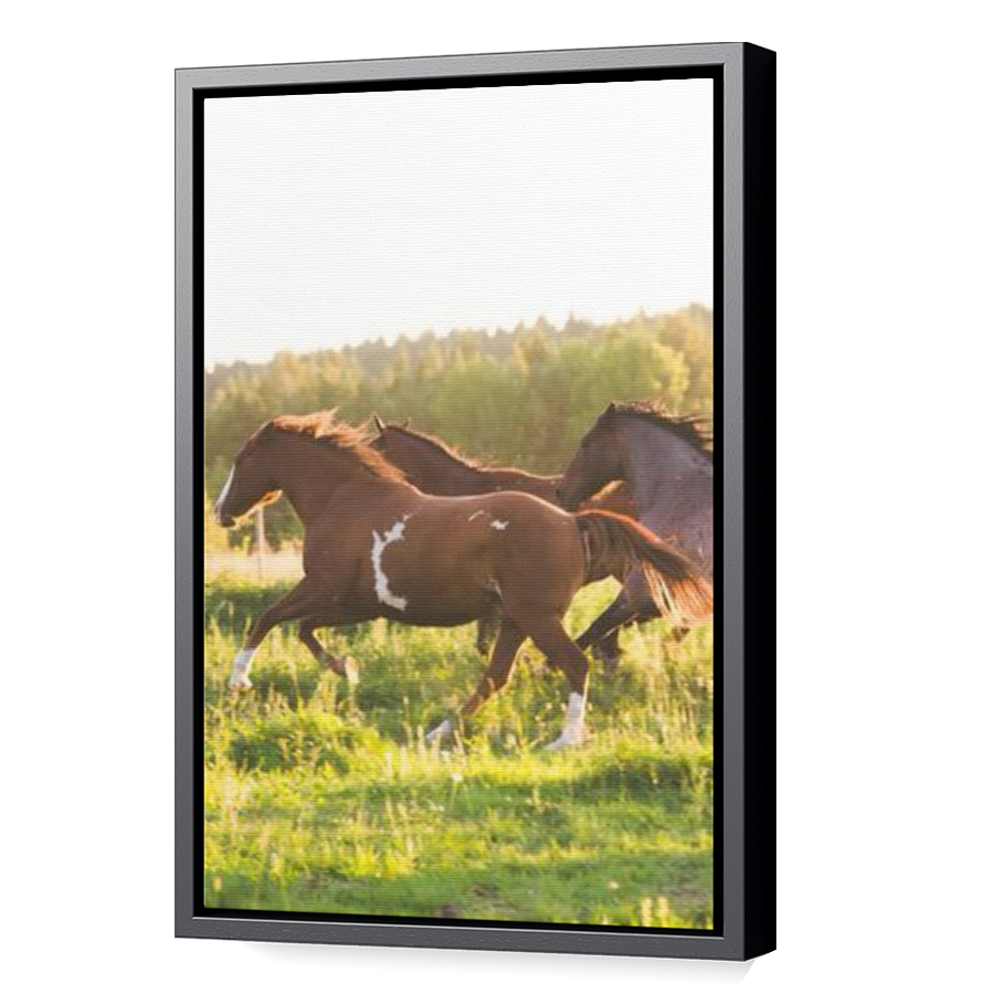Thumbnail for Canvas - Black Floating Frame