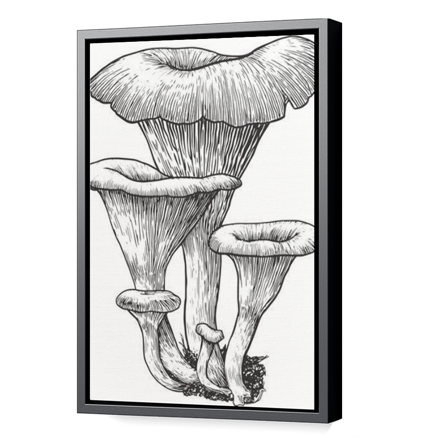 Thumbnail for Canvas - Black Floating Frame