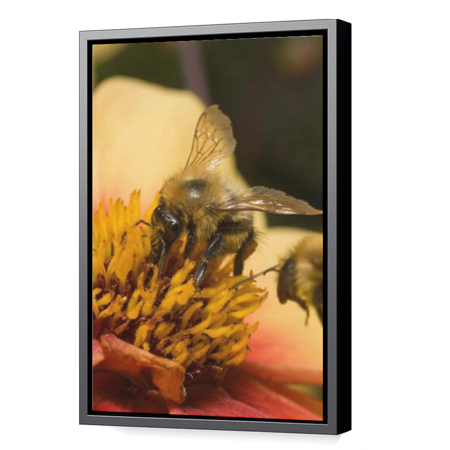 Thumbnail for Canvas - Black Floating Frame