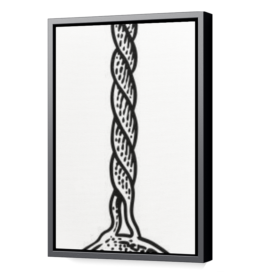 Thumbnail for Canvas - Black Floating Frame