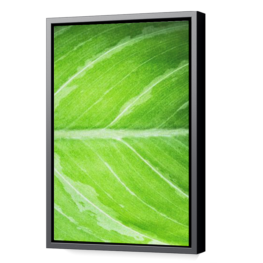 Thumbnail for Canvas - Black Floating Frame