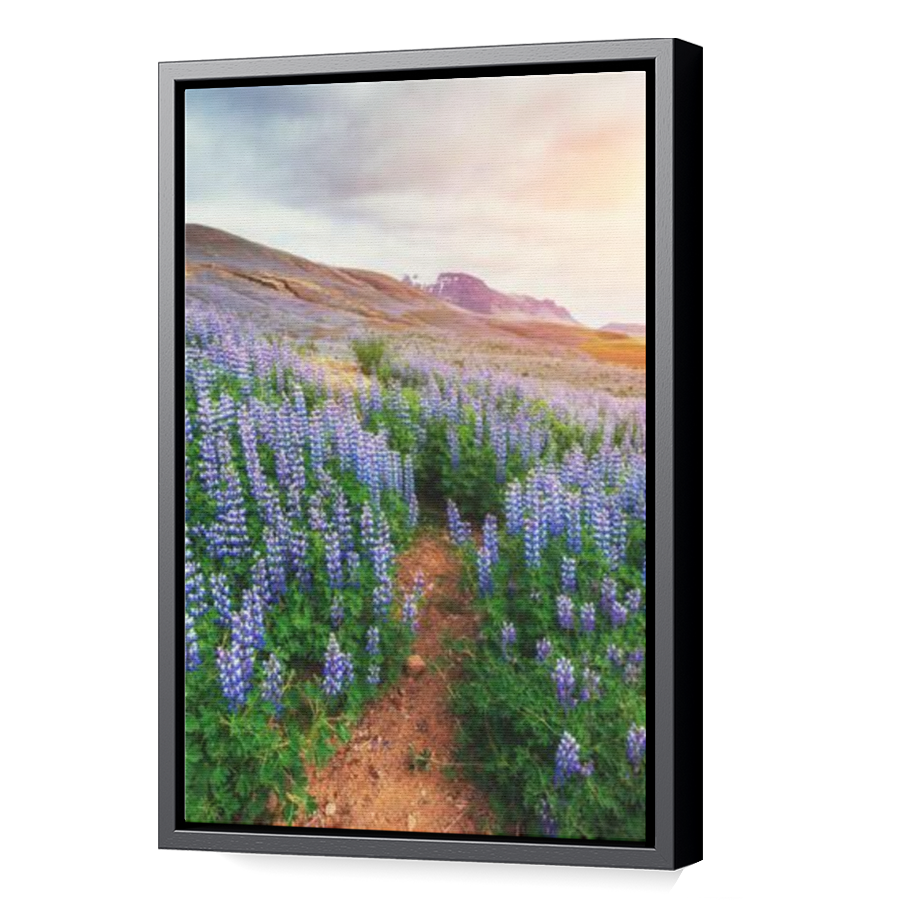 Thumbnail for Canvas - Black Floating Frame