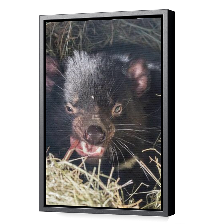 Thumbnail for Canvas - Black Floating Frame