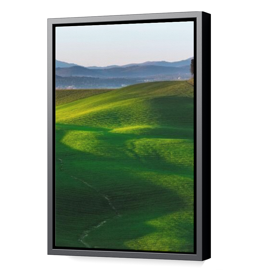 Thumbnail for Canvas - Black Floating Frame