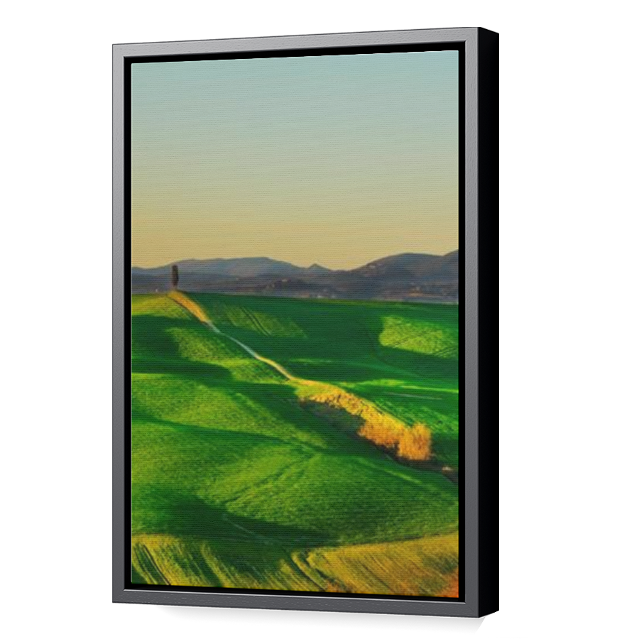 Thumbnail for Canvas - Black Floating Frame