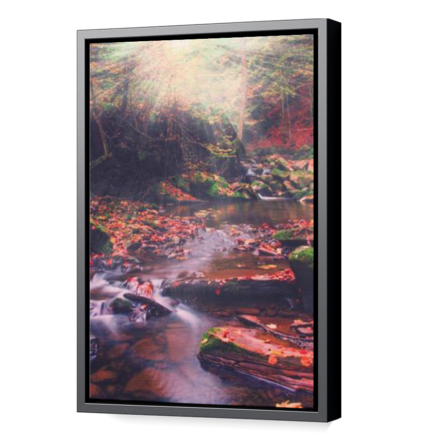 Thumbnail for Canvas - Black Floating Frame