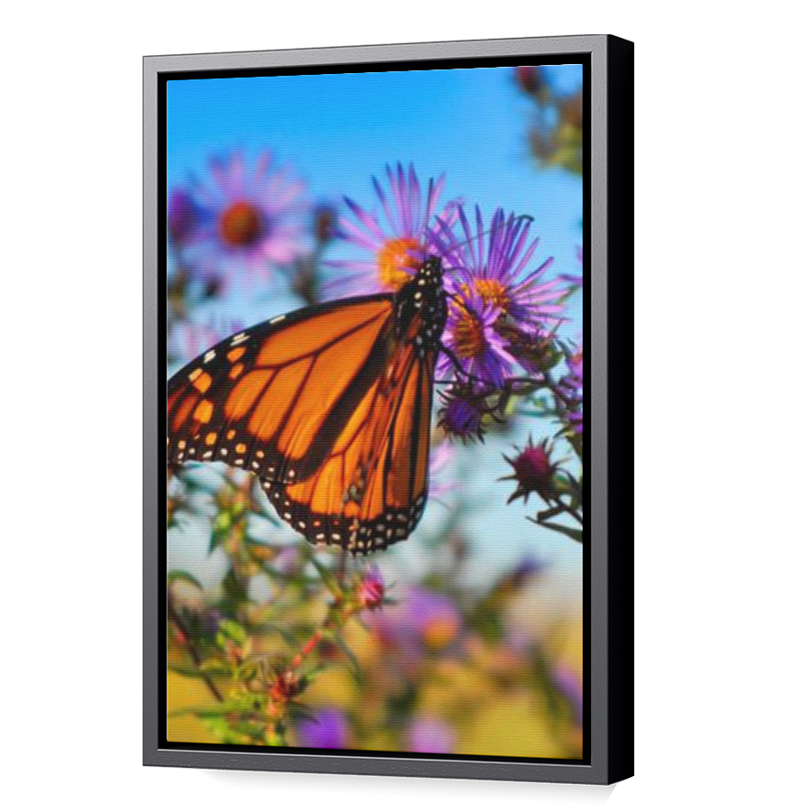 Thumbnail for Canvas - Black Floating Frame