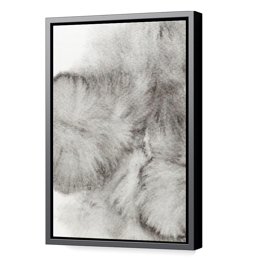 Thumbnail for Canvas - Black Floating Frame