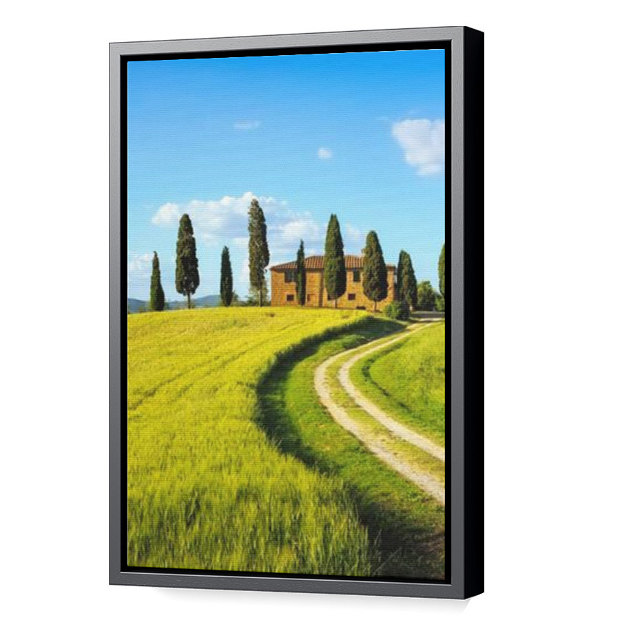 Thumbnail for Canvas - Black Floating Frame