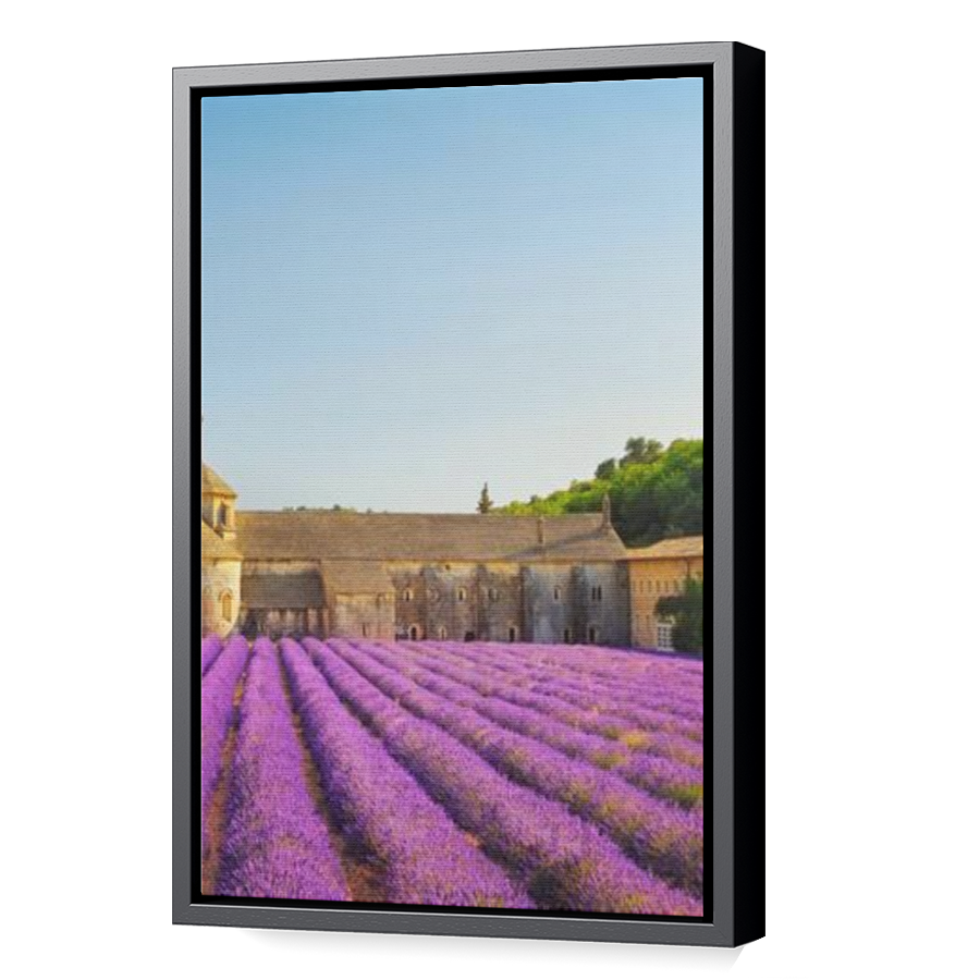 Thumbnail for Canvas - Black Floating Frame